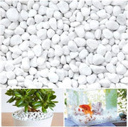 Pietruzze di Gabbro Bianche Piccole per Decorazioni Acquario Giardino Vasi e Piante 500g