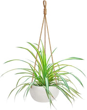Sostegno per piante a cascata - Macramè - Vaso decorativo per fiori - Ciotola in ceramica bianca - Per interni ed esterni - 69cm - Con corda e anello di sospensione
