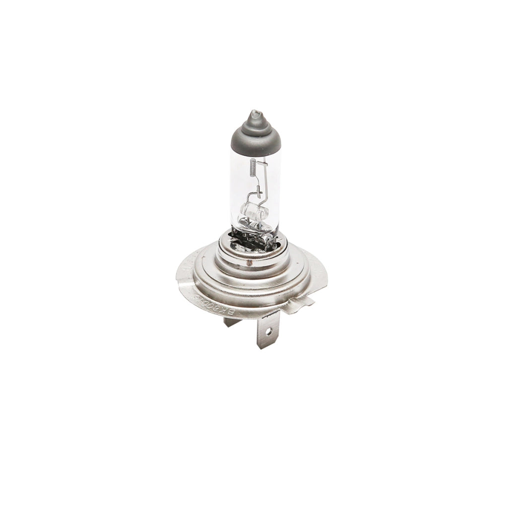Lampadina H7 12V 55W