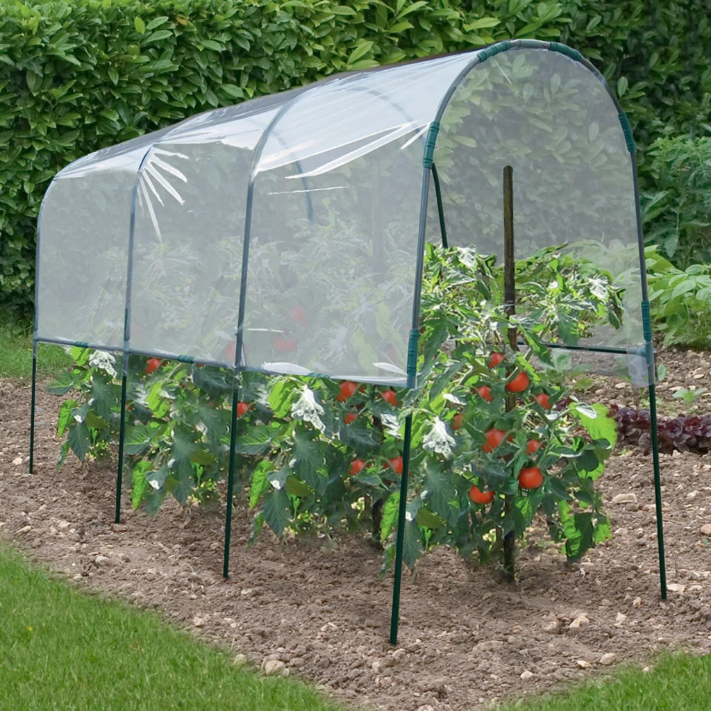 ProBache - Serra da giardino per pomodori 400 x 120 x 170 cm con telo trasparente + archi in acciaio