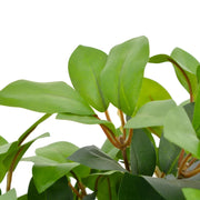 Albero di Alloro Artificiale con Vaso Verde 40 cm CFW5190200