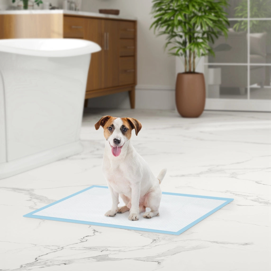 Set 100 Tappetini Igienici per Cani a 6 Strati in Tessuto non Tessuto, Carta e PE, 45x60 cm, Blu e Bianco
