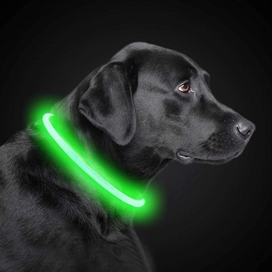 Cani luce – Collare per cani con luce – Lampada per cani - Cani uscita – Lampada per cani con batteria 3V (modello 3V-1000)