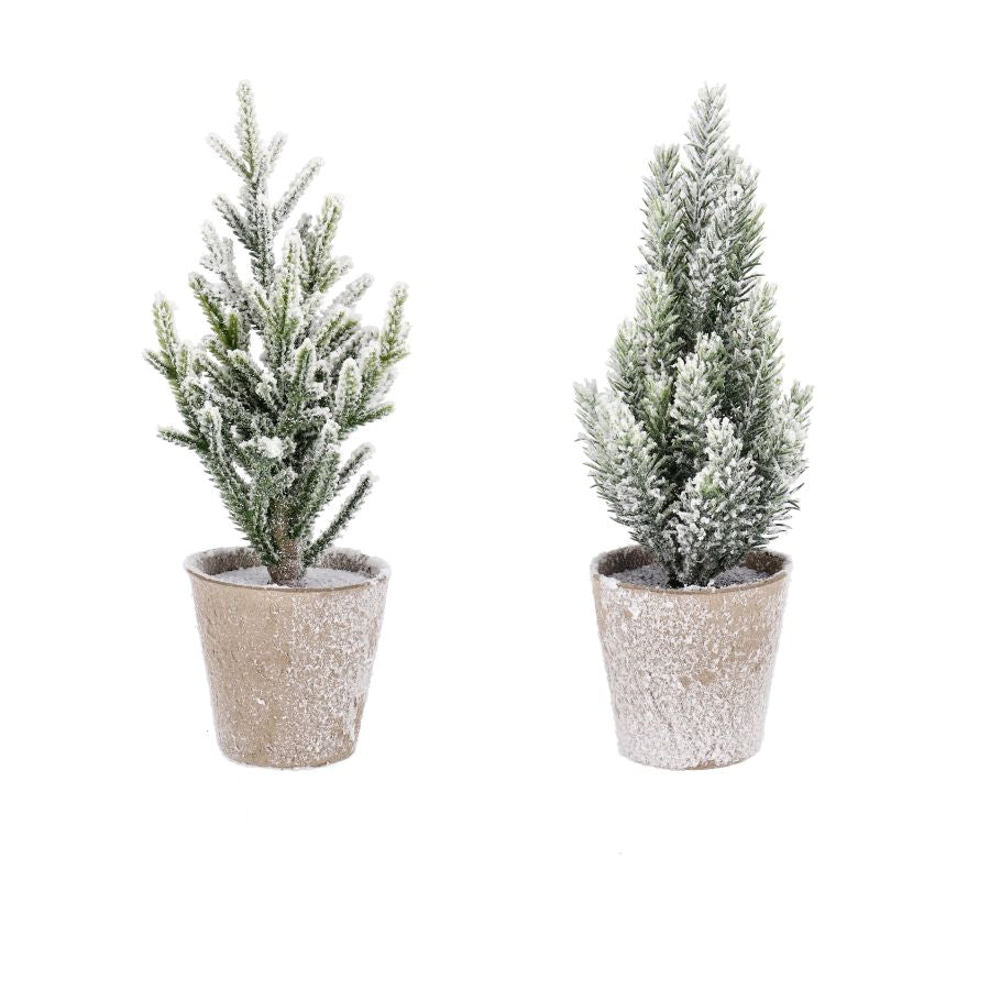 MINI ALBERO DI NATALE INNEVATO CON VASO BIZZOTTO 25H ASSORTITO PREZZO CAD