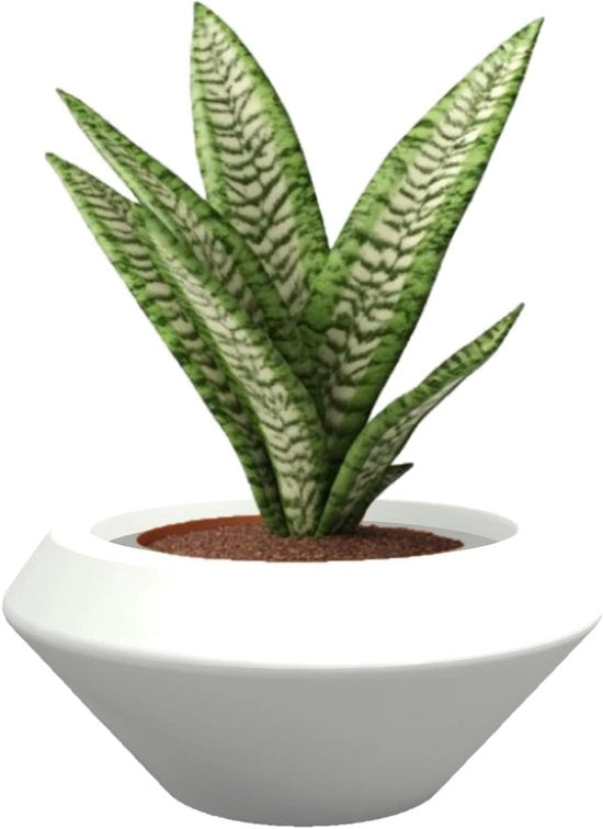 Tazza per il Giardino - Polietilene - Diametro 60 cm - Altezza 27 cm - Colore Bianco - Alta Qualità - Realizzato in Italia