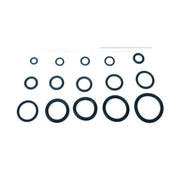 O-RING  8,00X1,90 P/FLESSIBILE MISCELATORE PZ.100