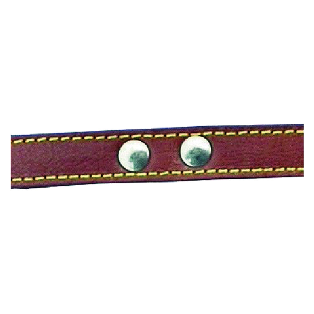 GUINZAGLIO PER CANE larg. mm 18 lung. cm 100 c/rivetti  - BricoGo