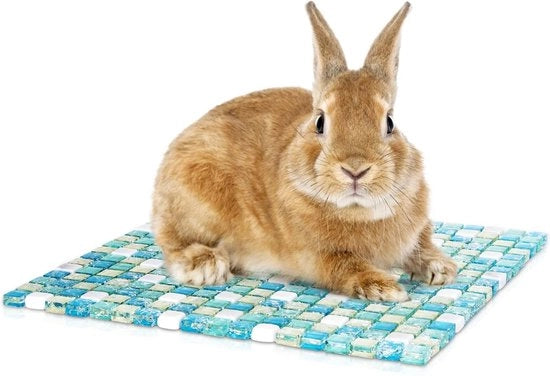 Casa di animale raffreddamento mat mat per coniglio estate raffreddamento di animale ijsbed per cavia (30 * 30CM)