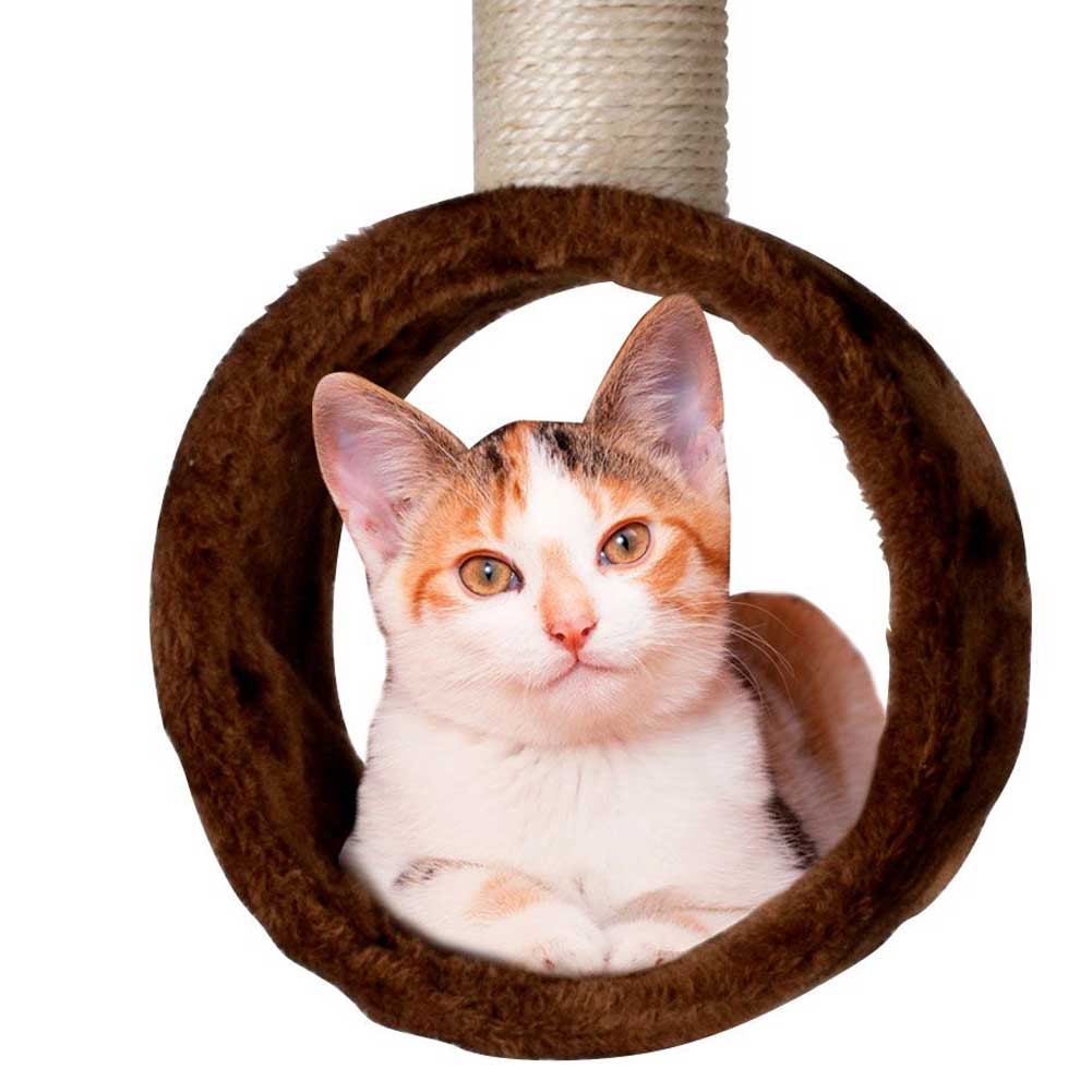 Tiragraffi Gatti Albero Sisal Parco Giochi Gatto Tira Graffi Alto 165cm Marrone