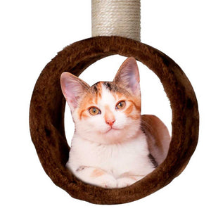 Tiragraffi Gatti Albero Sisal Parco Giochi Gatto Tira Graffi Alto 165cm Marrone