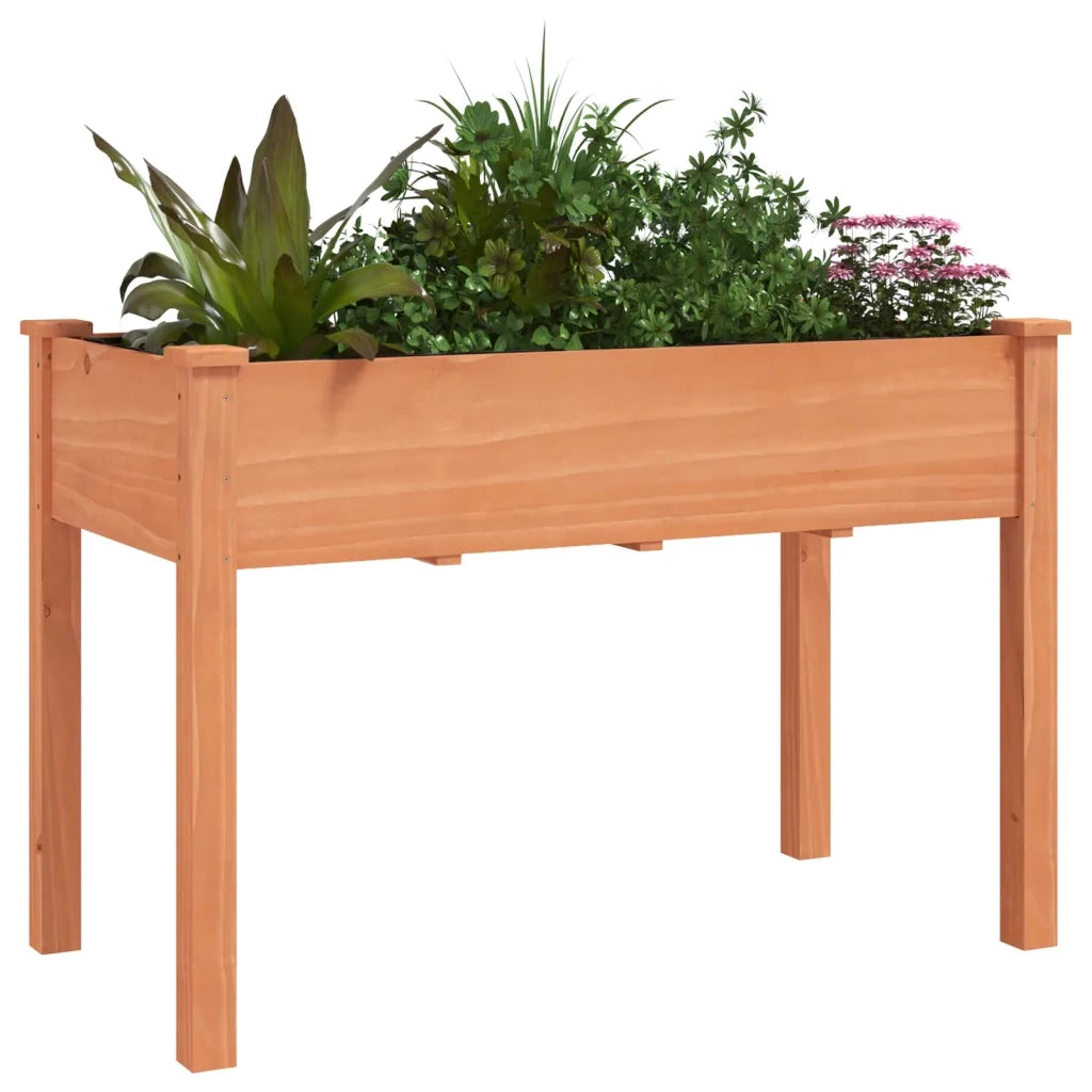Fioriera con Fodera-Vaso-Contenitore per Piante Marrone 118x59x76cm Legno Massello di Abete