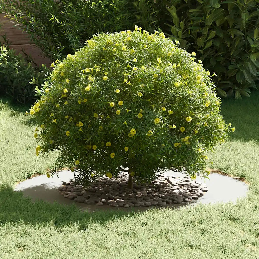 adatto per Anelli d'Albero Piatto 5 pz Bianco ?50 / 80 cm CFW6591610