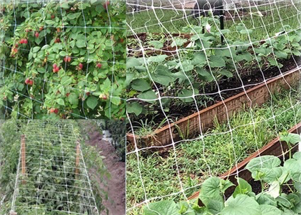 RETE ORTOFRUTTA SOSTENGREEN HL200 ROT. ML.1000