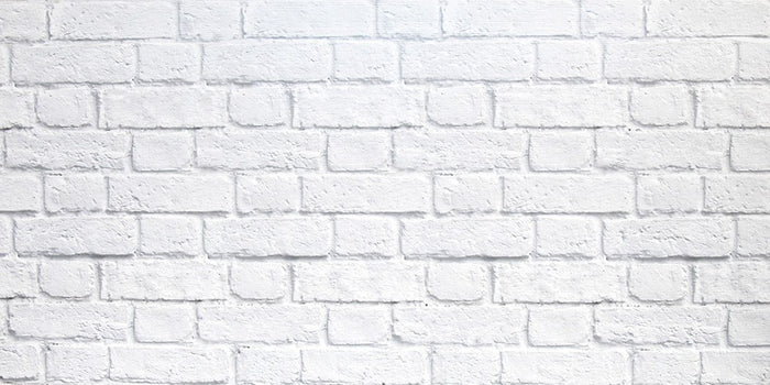 PANNELLO DECORATIVO CM 50X100 DISEGNO MURO PEZZI: 15