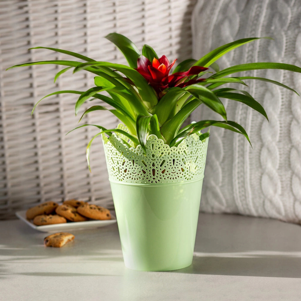 Vaso da fiori KADAX, vaso da fiori, coperchio, alto, in plastica, 12 cm, verde