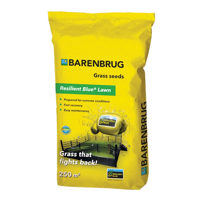 Resilient Blue Lawn 5 kg – Miscuglio Tappeto Erboso di Alta Resistenza