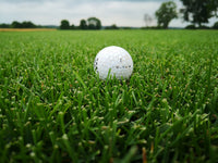 Resilient Blue Lawn 5 kg – Miscuglio Tappeto Erboso di Alta Resistenza