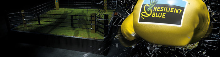 Resilient Blue Lawn 5 kg – Miscuglio Tappeto Erboso di Alta Resistenza