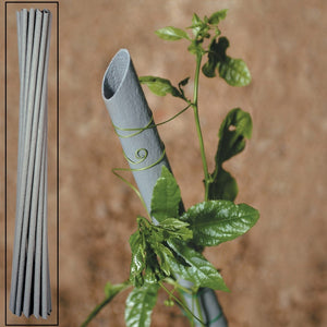 TUTORI TUTORE PVC PER PIANTE PIANTA 20PZ. VIGNA mm. 27 X cm. 180 VASI SOSTEGNO