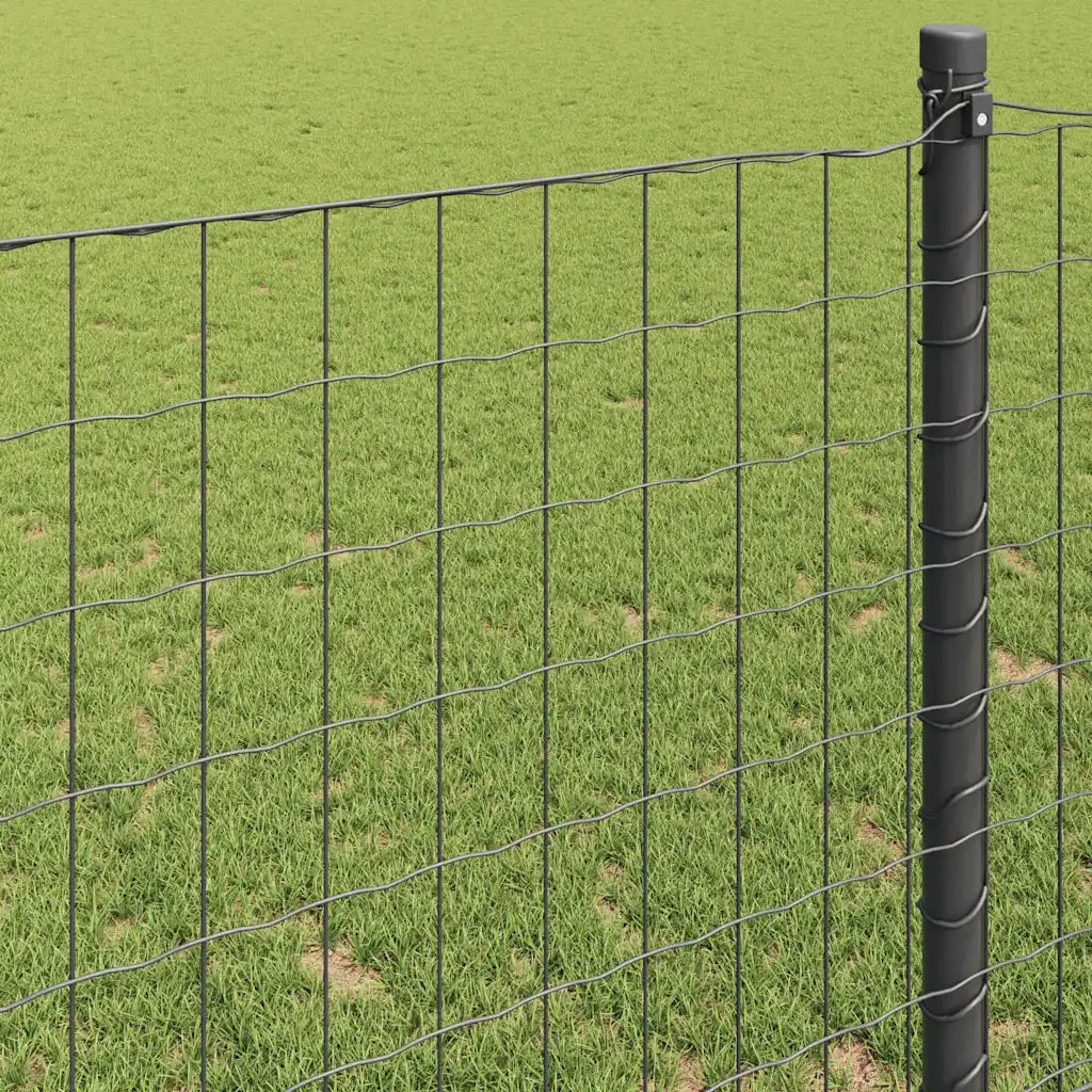 Recinzione Euro Grigio 1,2 x 25 m Ferro rivestito in PVC 42004526