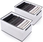 Sistema di Organizzazione della Vestiarium, 9 Cassetti di Archiviazione con 9 Raster, Organizzatore di Cassetti, 2 Pezzi di Organizzatori di Vestiti Pieghevoli per Pantaloni, Magliette, Jeans, T-Shirt, Grigio