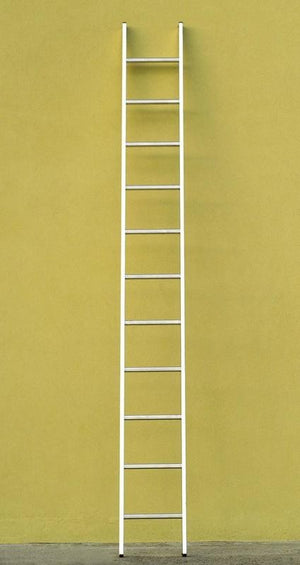 SCALA IN ALLUMINIO DA APPOGGIO VENUS 10 GRADINI