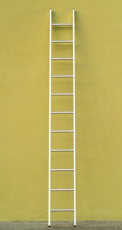 SCALA IN ALLUMINIO DA APPOGGIO VENUS 15 GRADINI