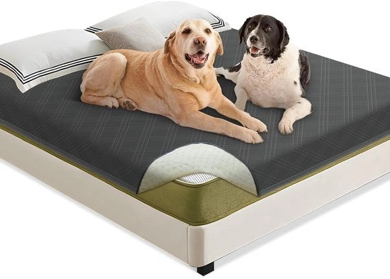 Asciugamano acqua resistente per cani 205 x 130 cm - Cuscino per cani robusto per divano e letto - Asciugamano antiscivolo per cani per cani grandi e piccoli - Lavabile in lavatrice - Grigio