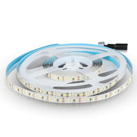 Strip LED Samsung 2835 120 LED 12V IP20 6500K