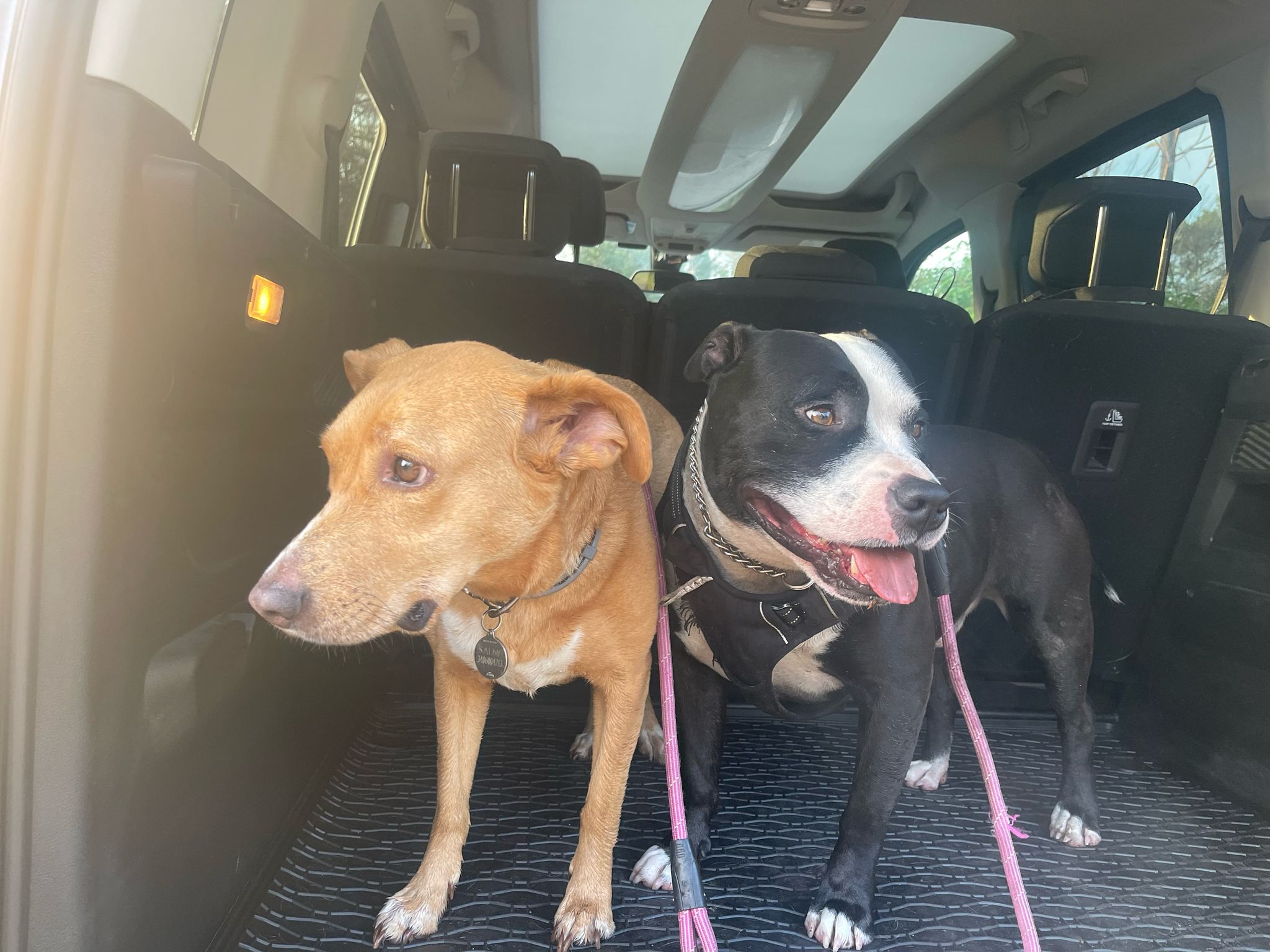 184B-437331 - Tappeto gomma baule - Volkswagen Transporter T7 Multivan 2 posti dal 2022- modello L1