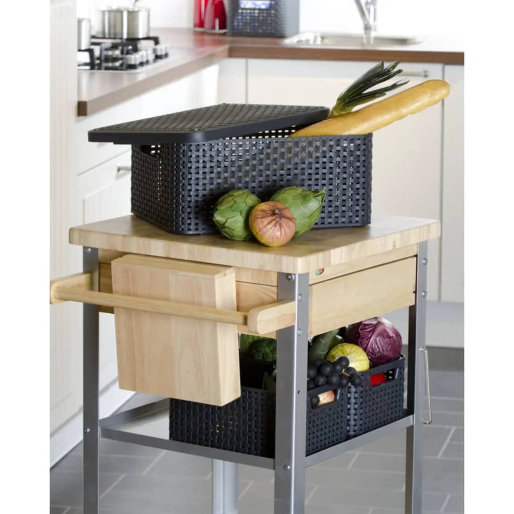 Curver Scatola Portaoggetti Coperchio Style M 18L Argento Metallizzato 443866