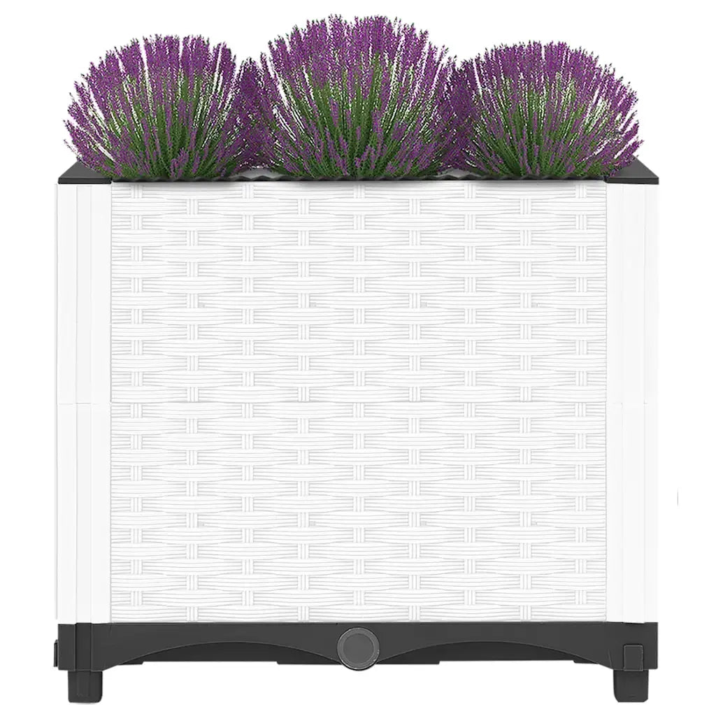 Fioriera | Cassetta per fiori | Vaso Rialzata 40x40x38 cm in Polipropilene