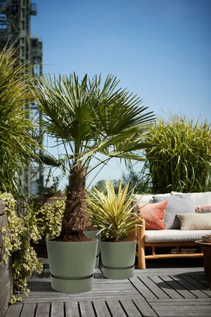 Vaso Elho GREENVILLE ROUND 30 White – Eleganza e Purezza per il Tuo Spazio Colore: Bianco