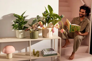 Vasi Elho Facet Round 26 – Eleganza Moderna Colore: Rosa