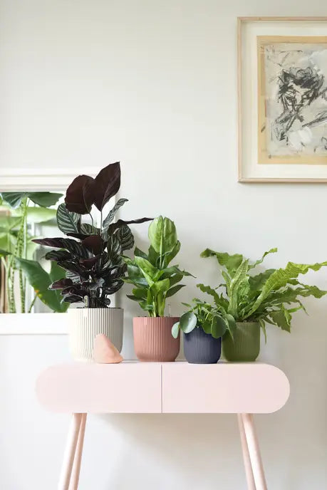 Vaso Elho Vibes Fold Round 25 cm – Eleganza Moderna per la Tua Casa Colore: Avorio