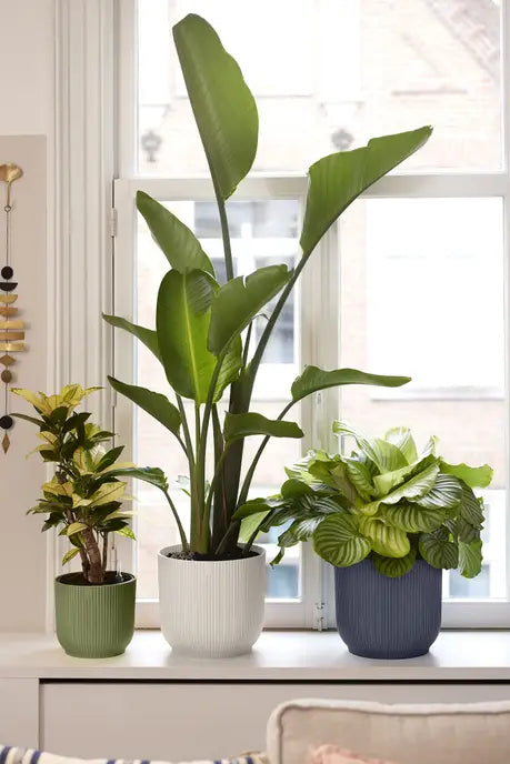 Vaso Elho Vibes Fold Round 30 cm – Eleganza Moderna per la Tua Casa Colore: Antracite