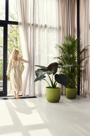 Vaso Elho Vibes Fold Round 40 cm – Design Elegante per Piante Grandi Colore: Antracite