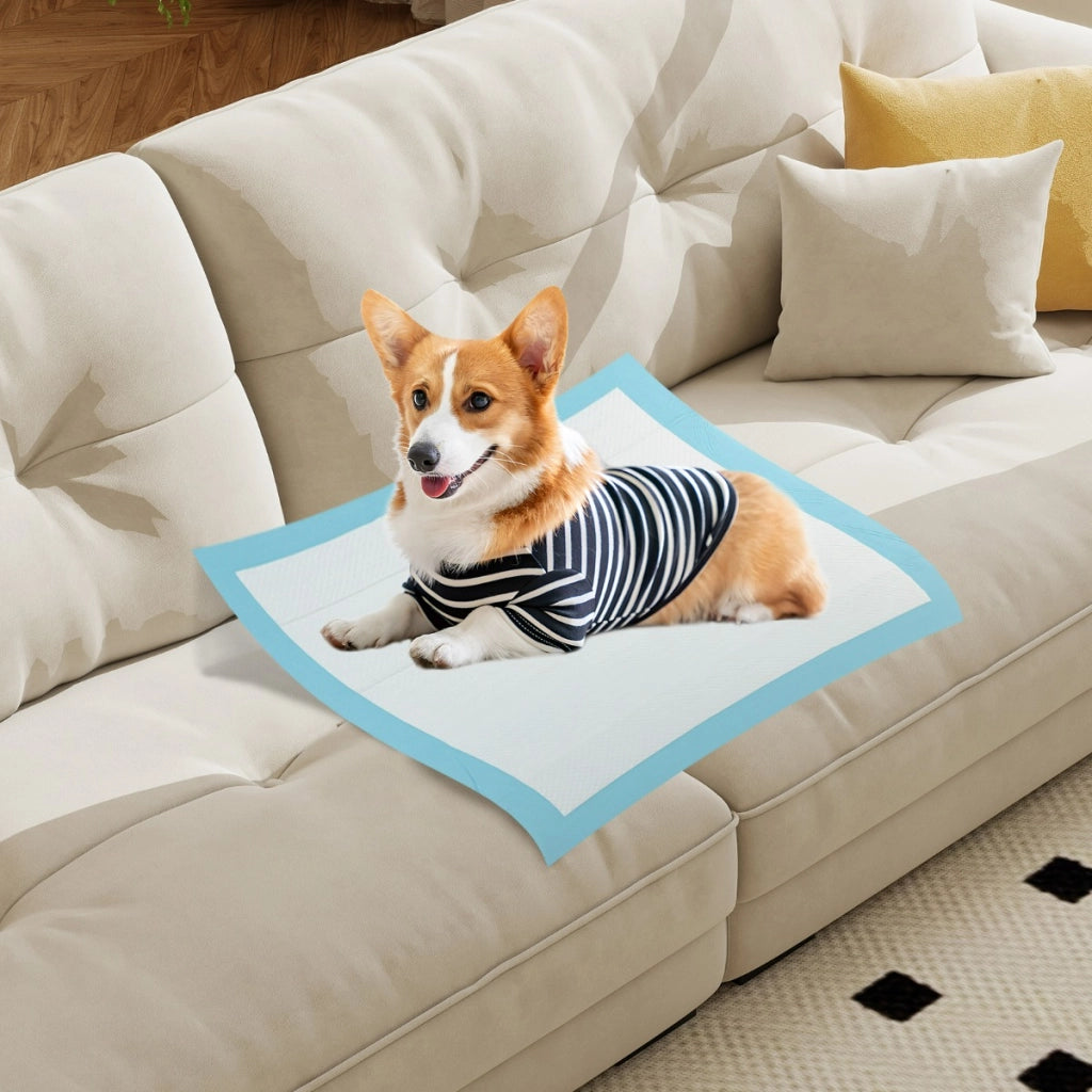Tappetini per animali domestici a 6 strati a prova di perdite-Asciugatura rapida tappetini da interno ed esterno 76 x 76 cm Blu