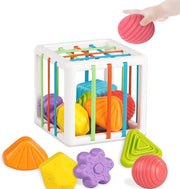 Giocattolo Sensoriale per Bambini | Sortitore Montessori con 6 Blocchi | Giocattolo Educativo per Bambini da 6 a 18 Mesi