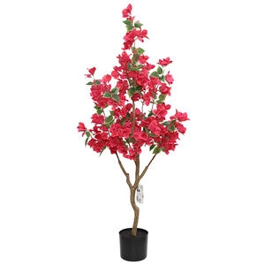 C BOUGANVILLEA 120 CM- 2,0 pz