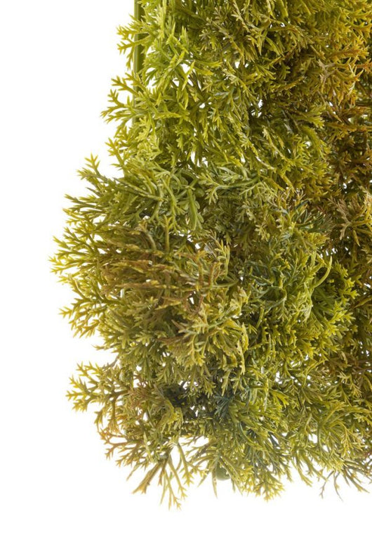 PANNELLO ERBA SINTETICA MUSCHIO VERDE BIZZOTTO 25X25