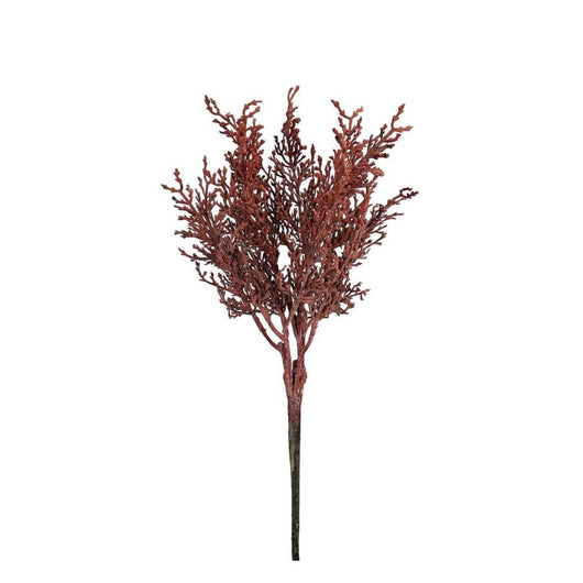 RAMO ARANCIONE PICK BENNIE BIZZOTTO 17X10X45H