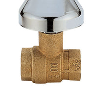 Valvola dâ€™arresto da 1/2" con cappuccio