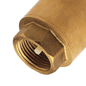 Valvola di ritegno a passaggio totale