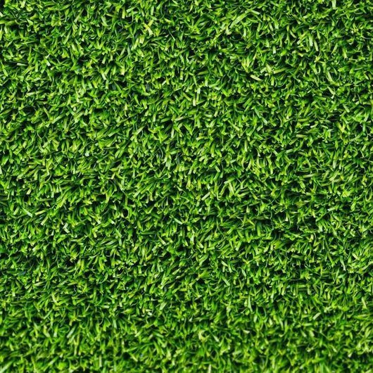 Semi di PRATO INGLESE SILVER HERBATECH per 70mq 1,2 Kg miscuglio PROFESSIONALE