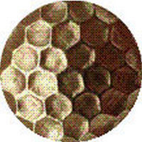 bullette martellate 10 mm ottonate (pz.1.000) cod:ferx.32979