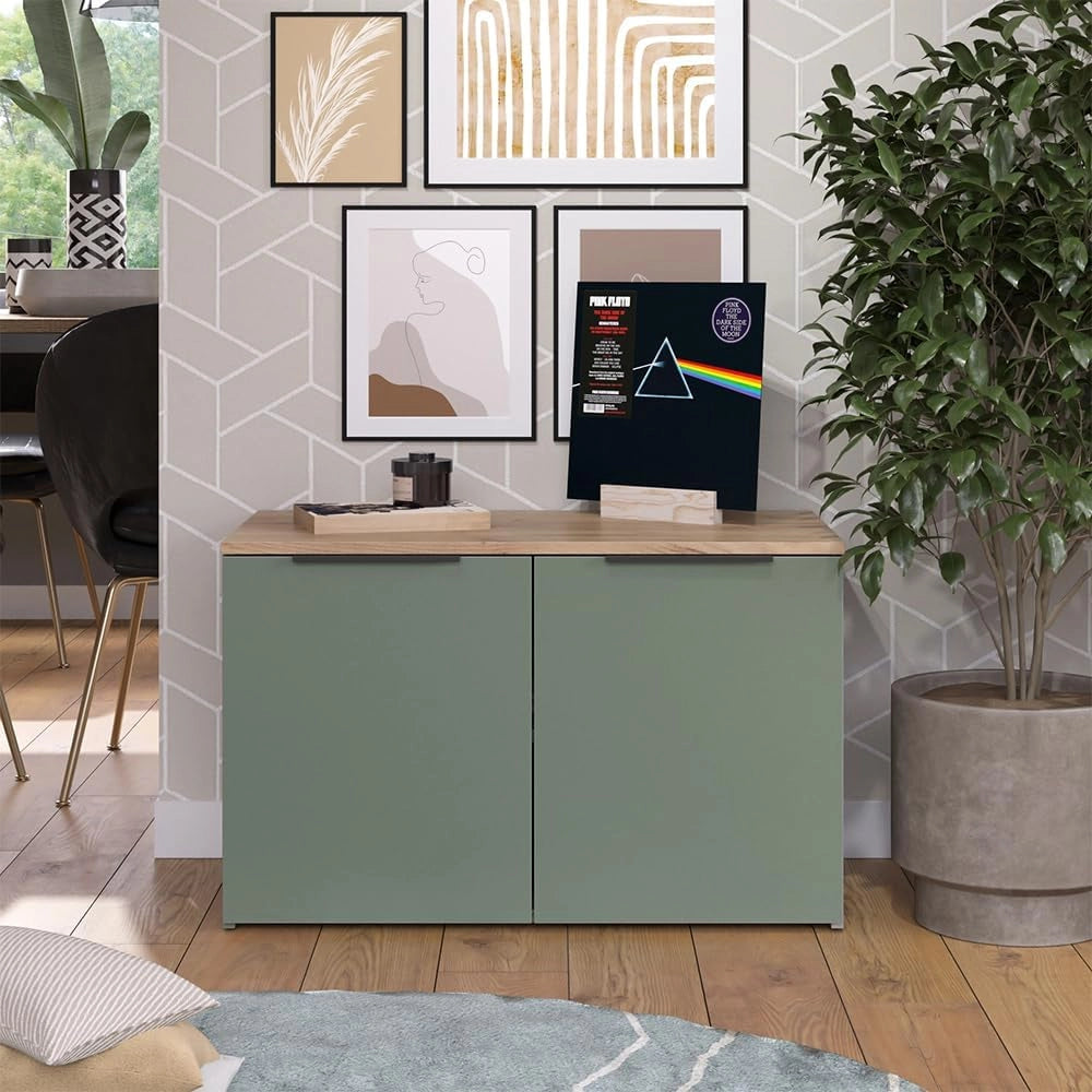 Credenza Wido, Verde, 80 x 50 cm con 2 porte, adatto per riporre abiti e oggetti per la casa