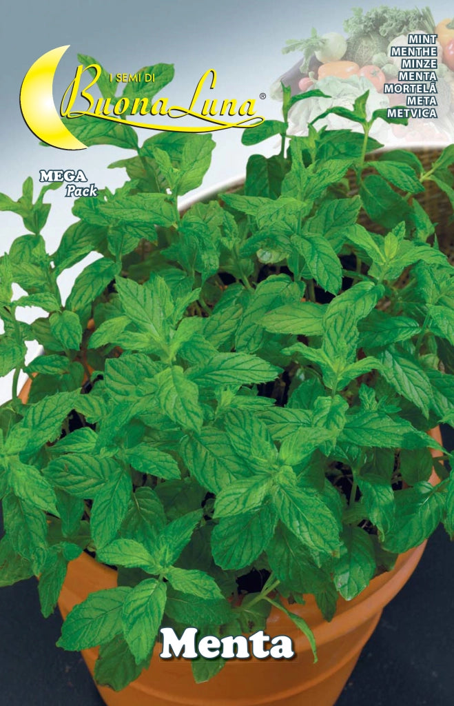 SEMI ORTO MENTA- HORTUS SEMENTI- 10,0 pz