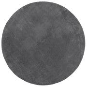 Tappeto del soggiorno | Tappeto a Pelo Corto HUARTE Morbido e Lavabile Antracite ?120cm