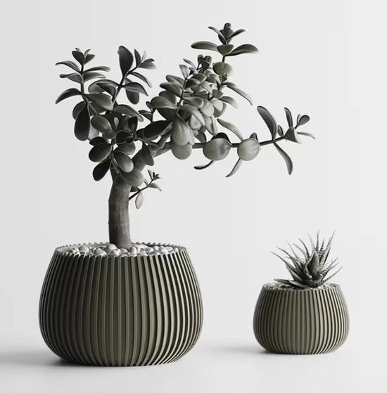 Vaso Decorativo Moderno con Strisce Verticali | Progettato con Design Rond e Minimale | Adatto per Piante, Cactus e Bonsai | 2 Dimensioni | 100% Made in Italia